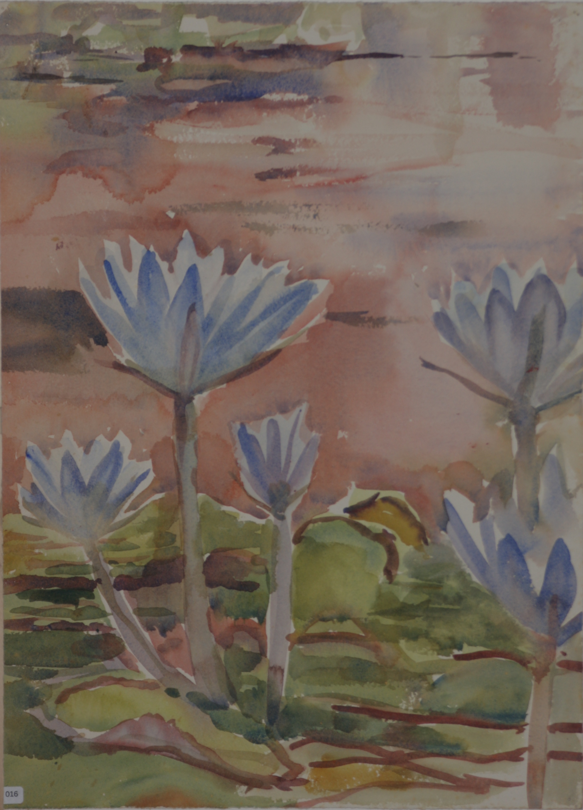 Lily Pond, Balboa Park