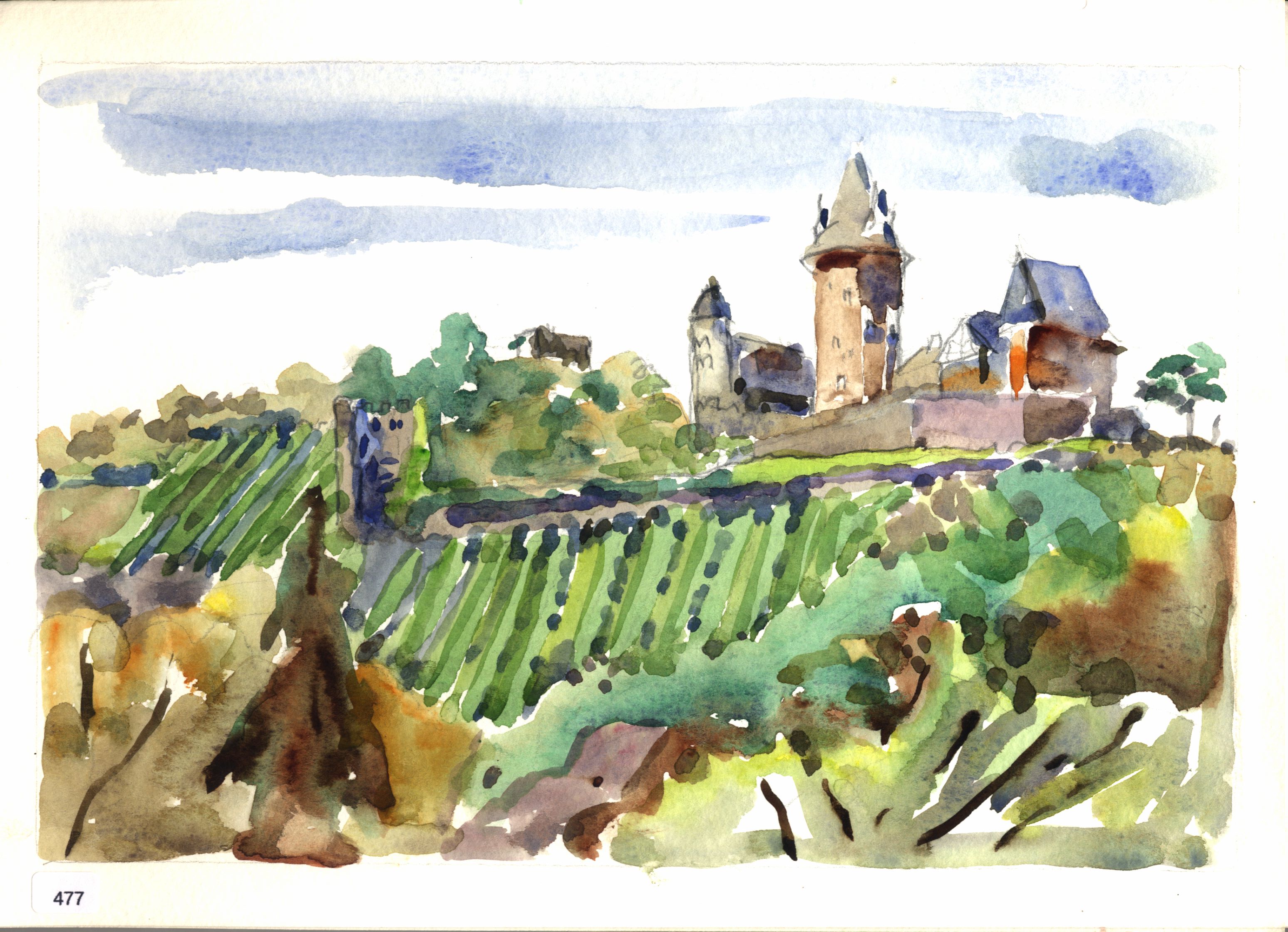 Burg Stahleck and vineyards