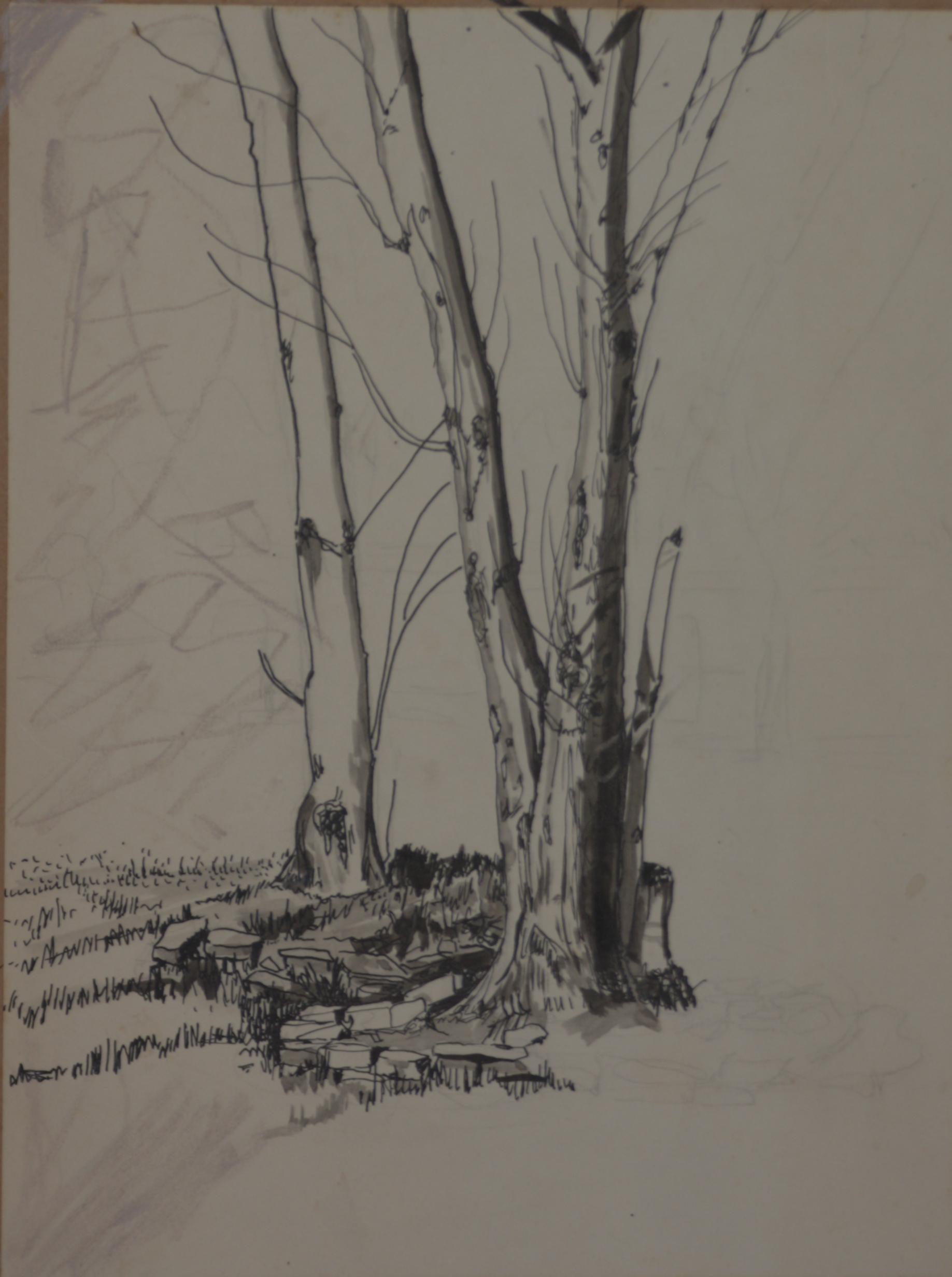 Pen and ink: bare trees