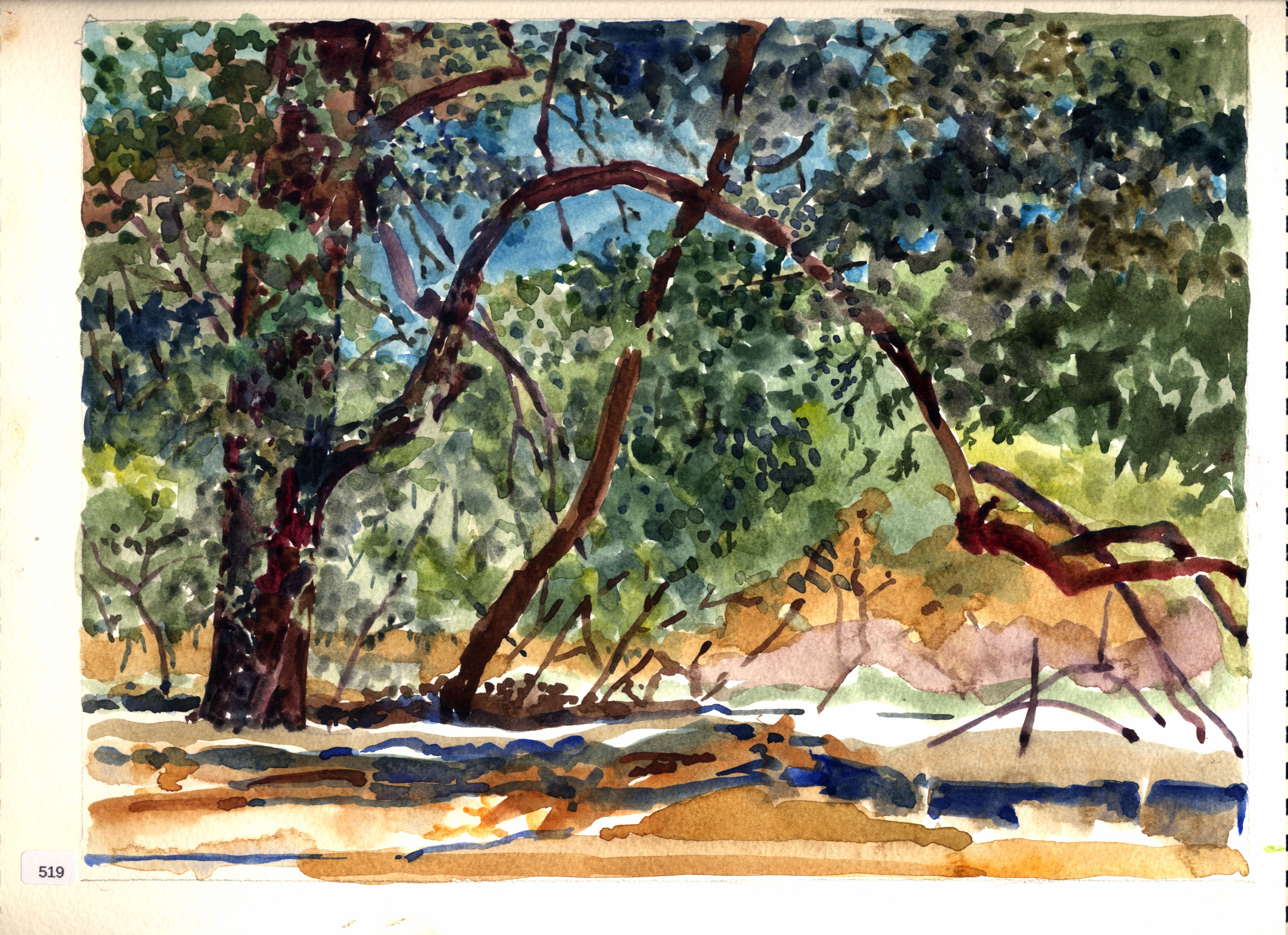 Trees along creek or wash