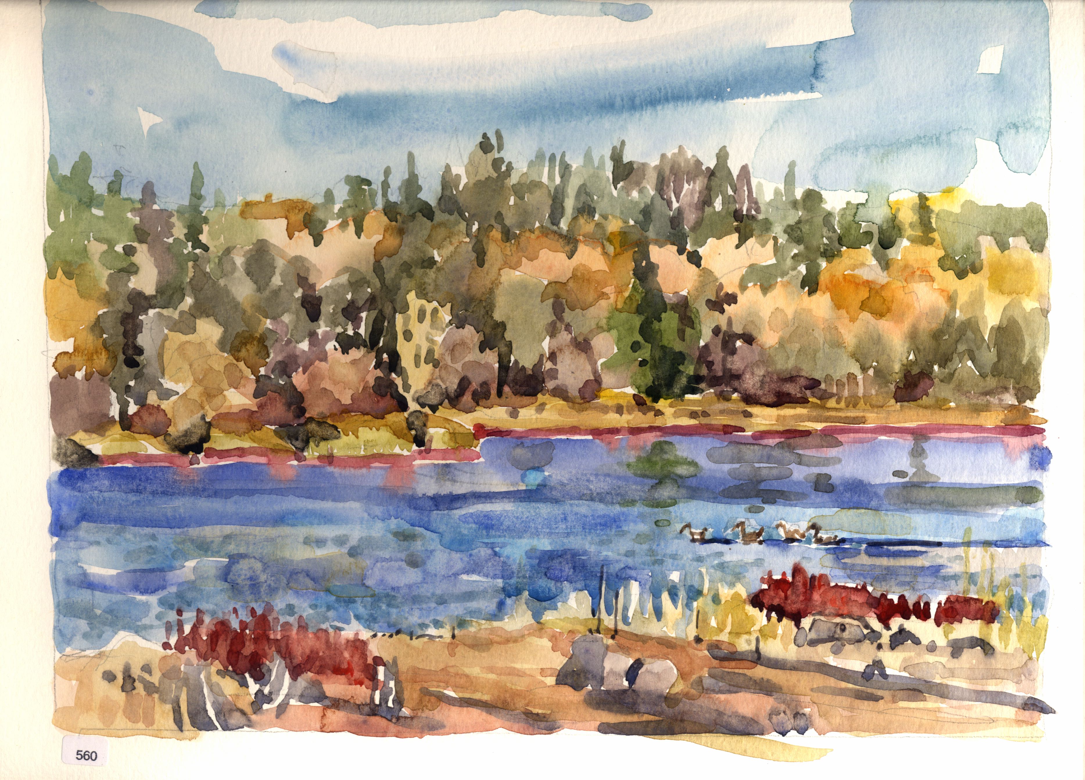 Lake with ducks and shoreline vegetation