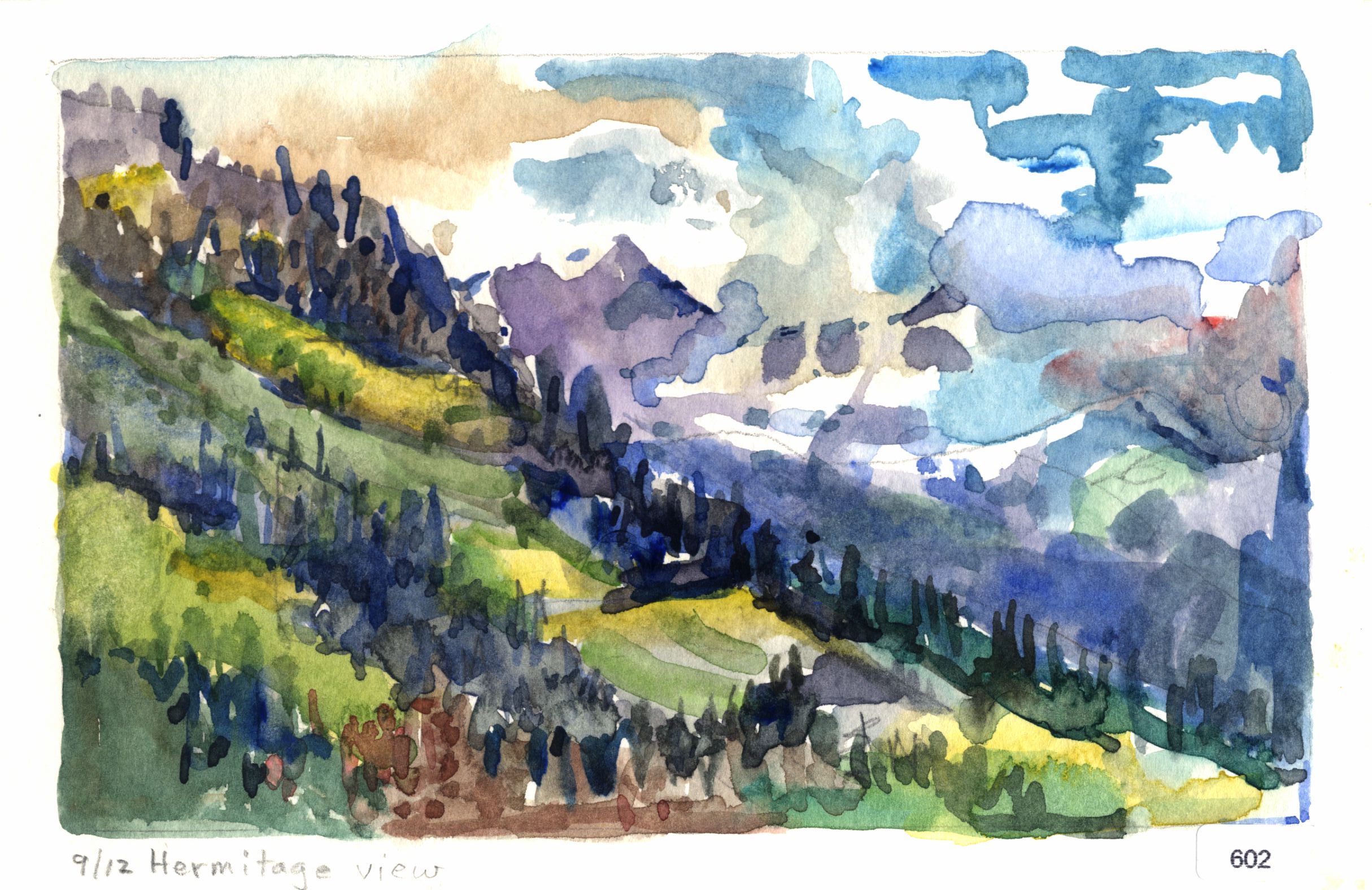 Hermitage view
