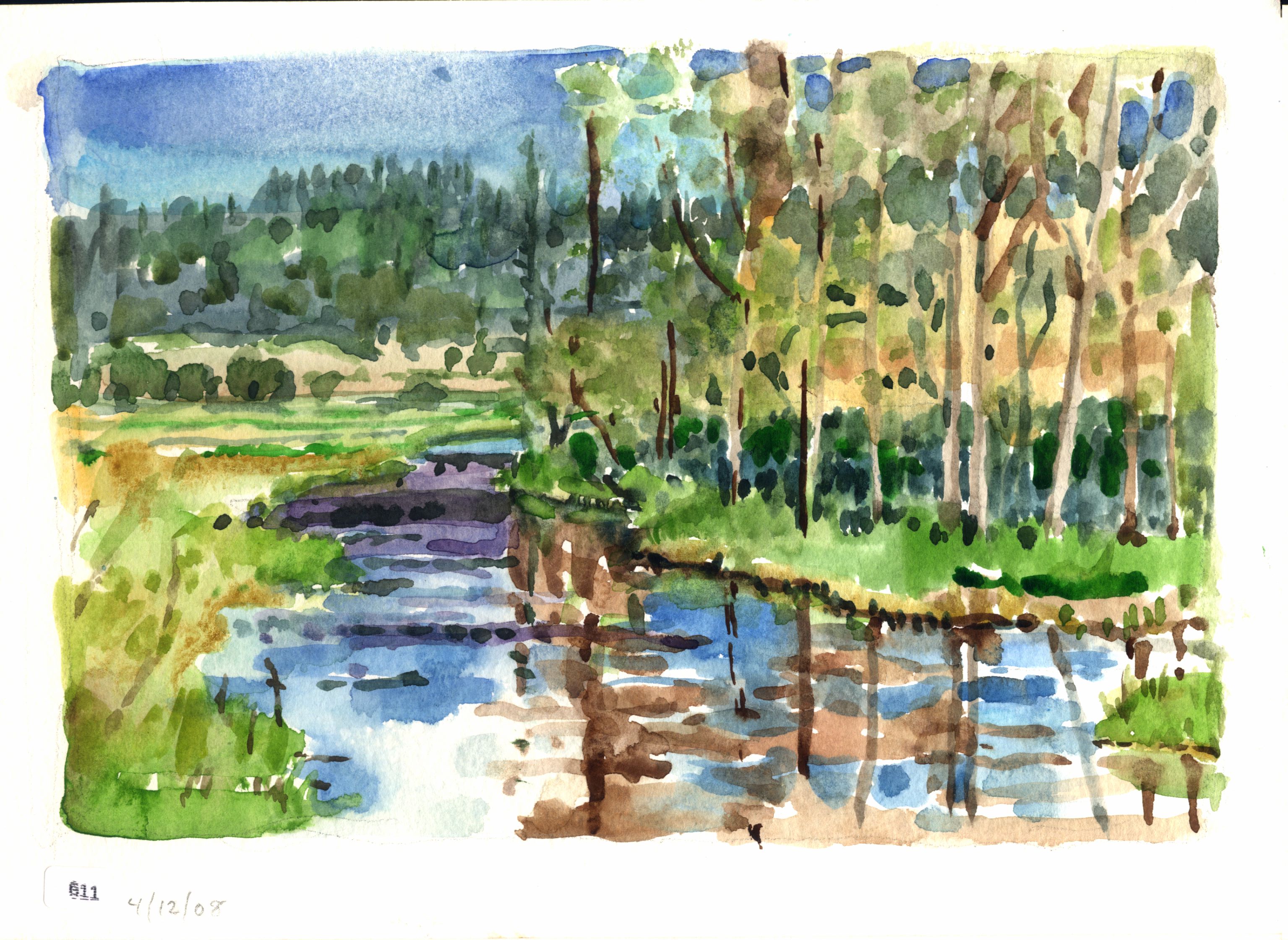 Landscape with reflective water, trees, reeds, and green fields.
