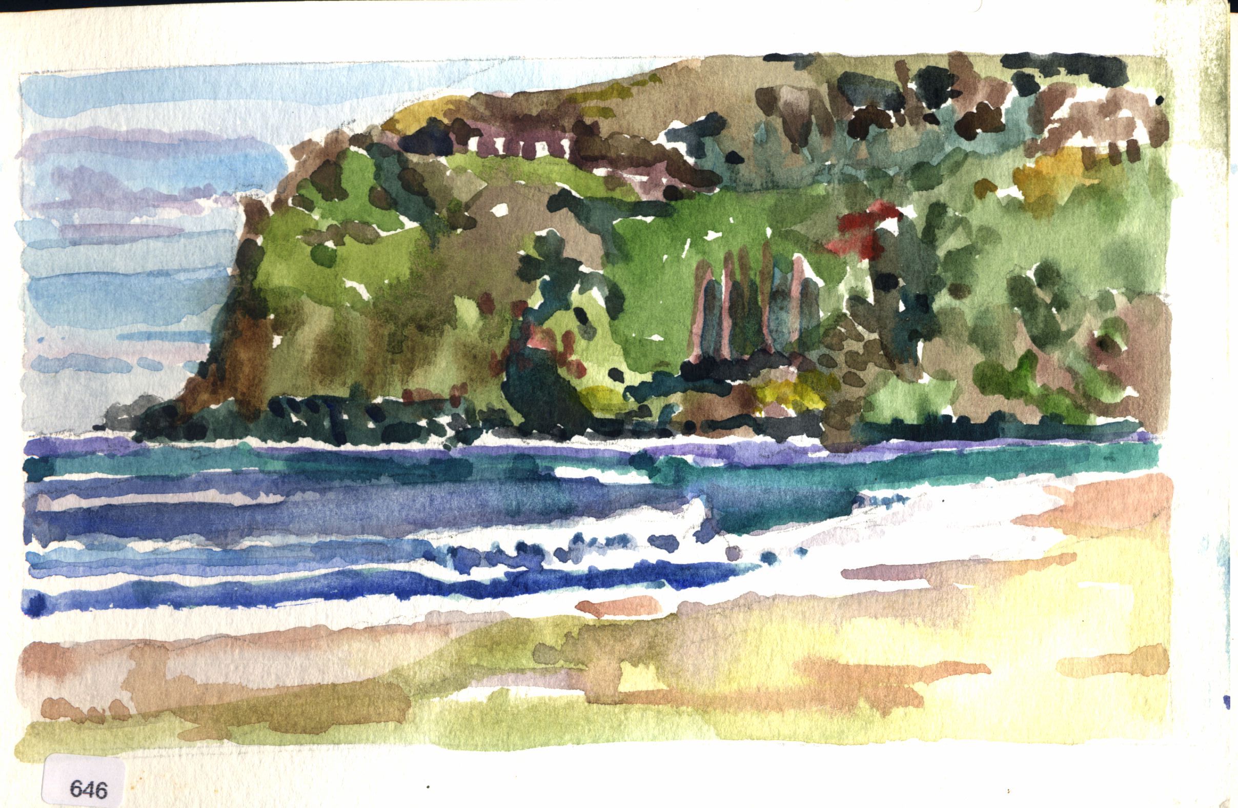 Green coastal bluff above surf and beach.