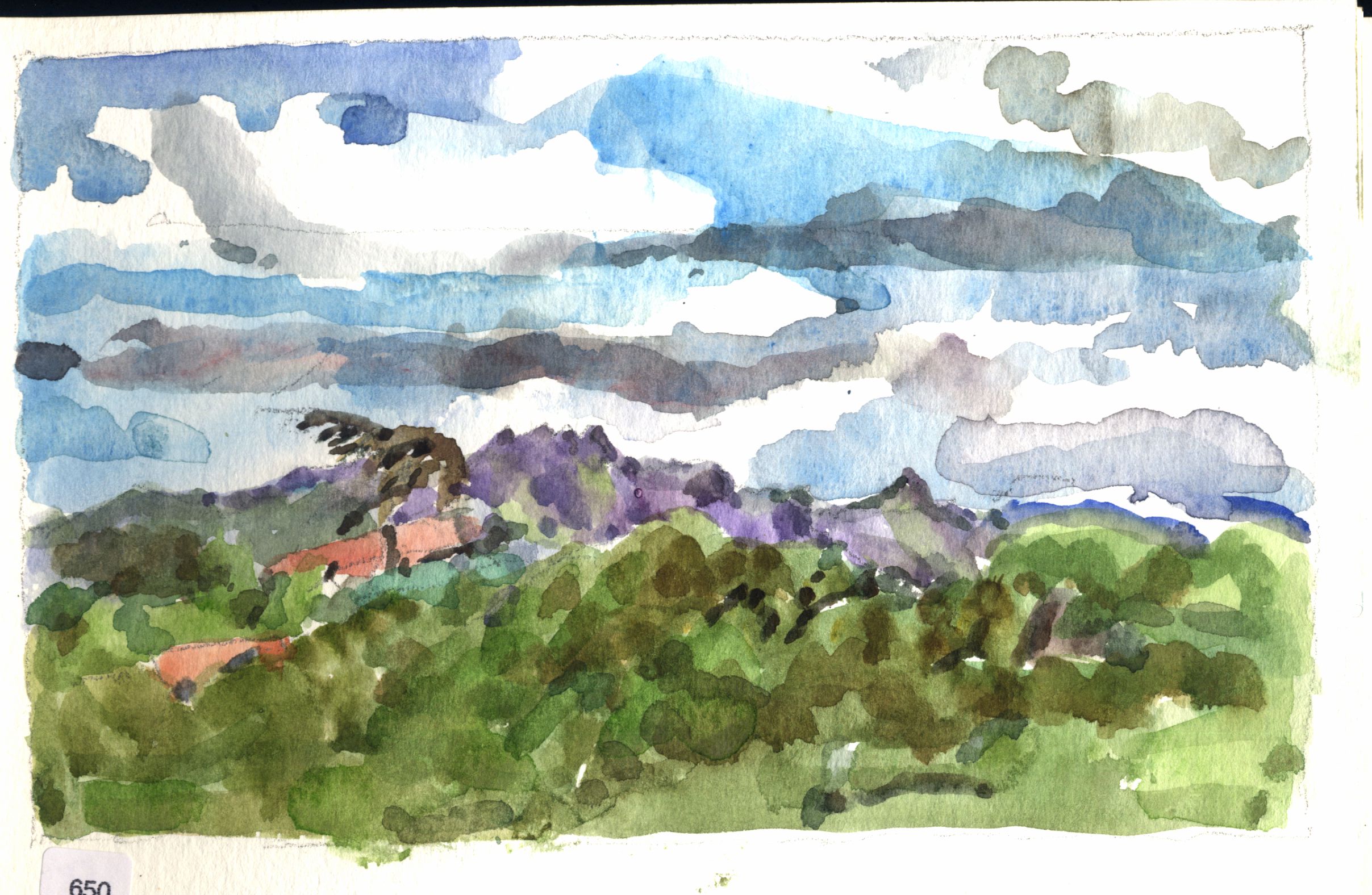 Green rolling landscape with distant purple hills and cloudy sky.