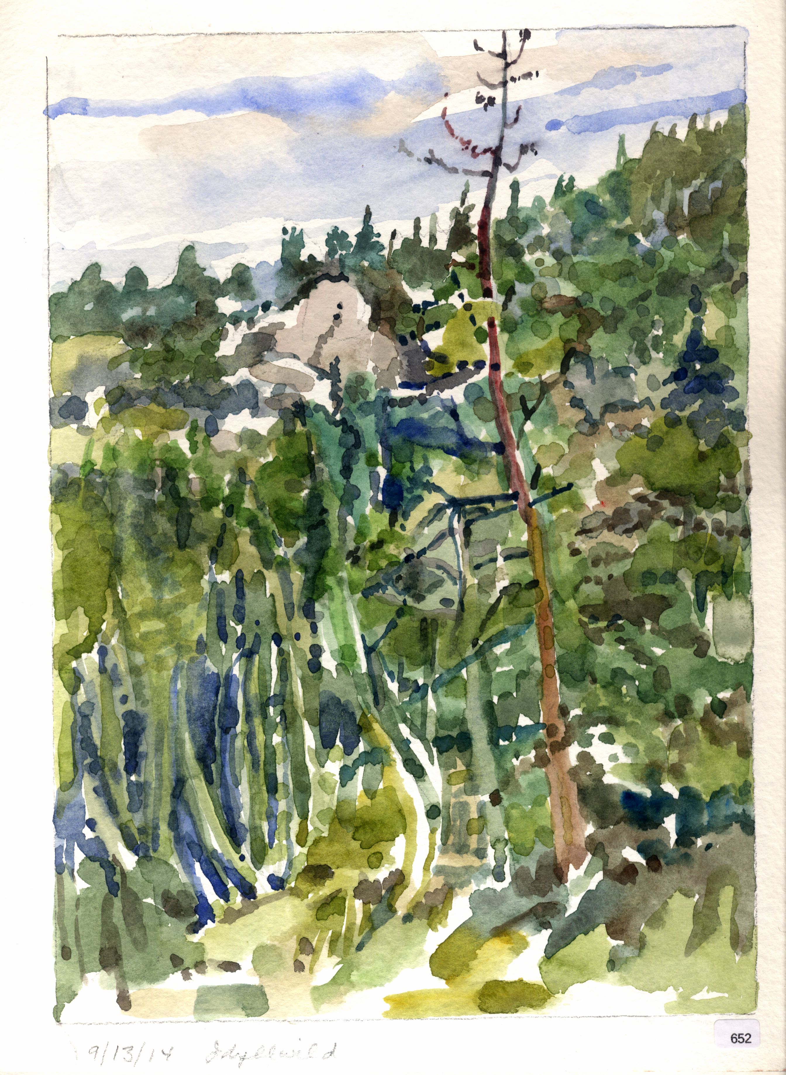 Wooded landscape