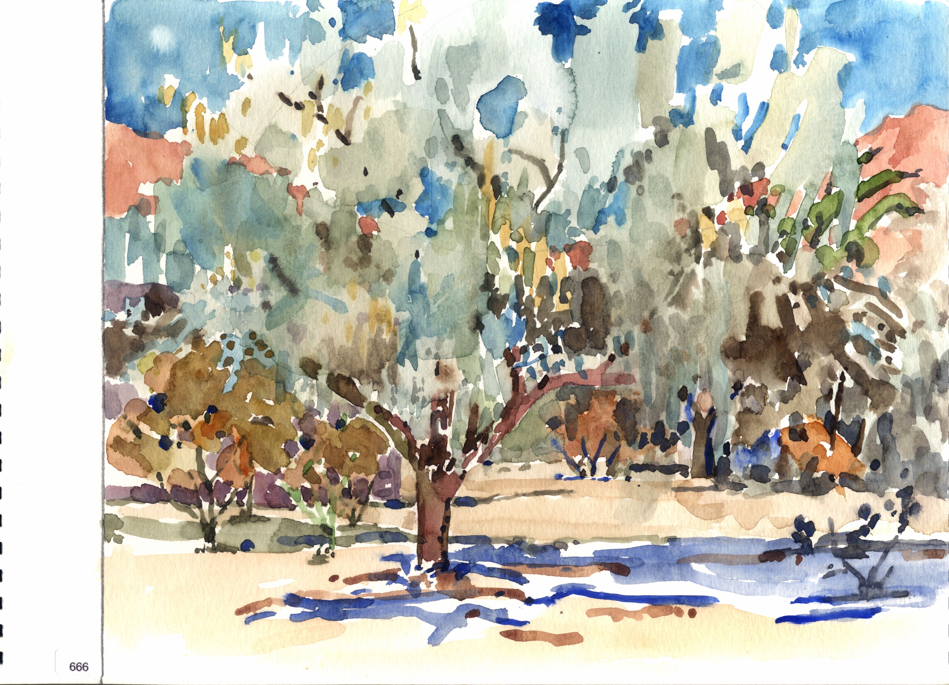 Tree and shrubs in park setting