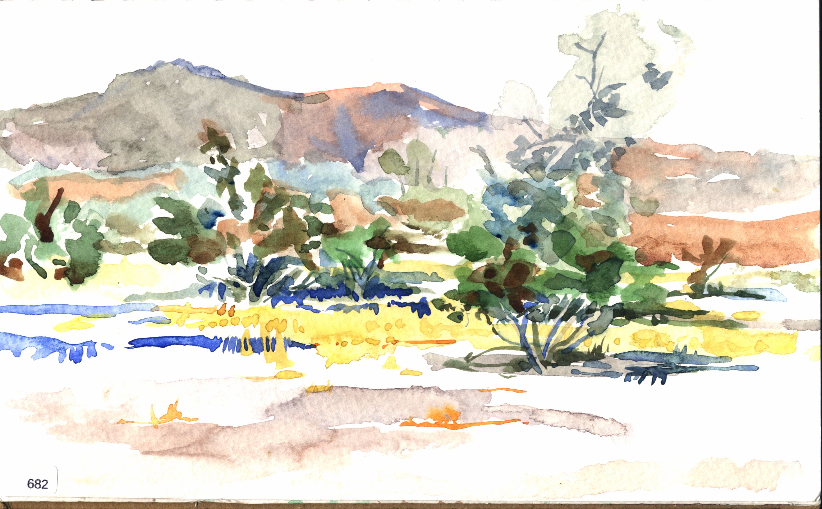 Borego, Desert or dry garden landscape with shrubs, agave-like plants, and distant hills.