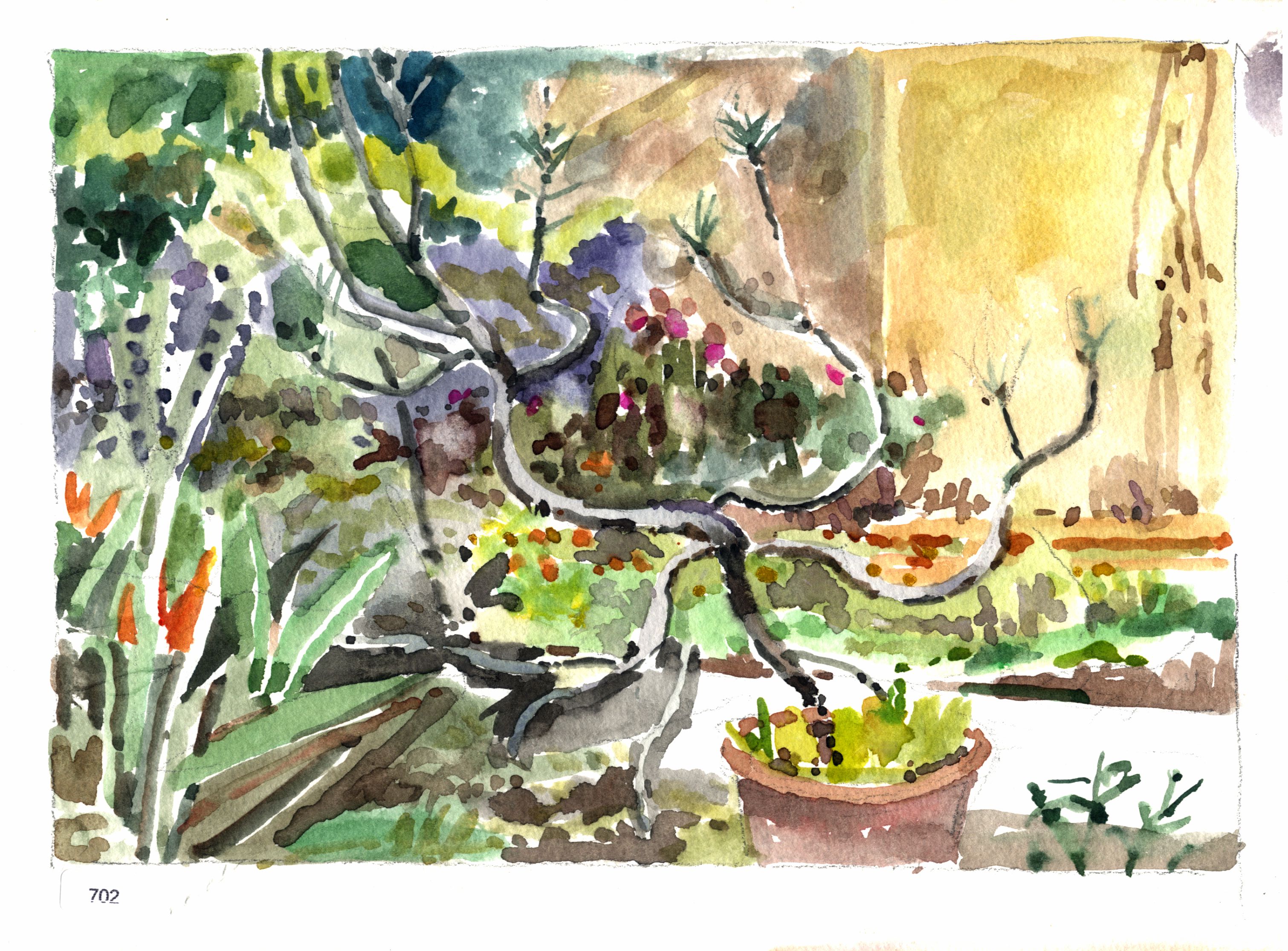 Plants at Waverly