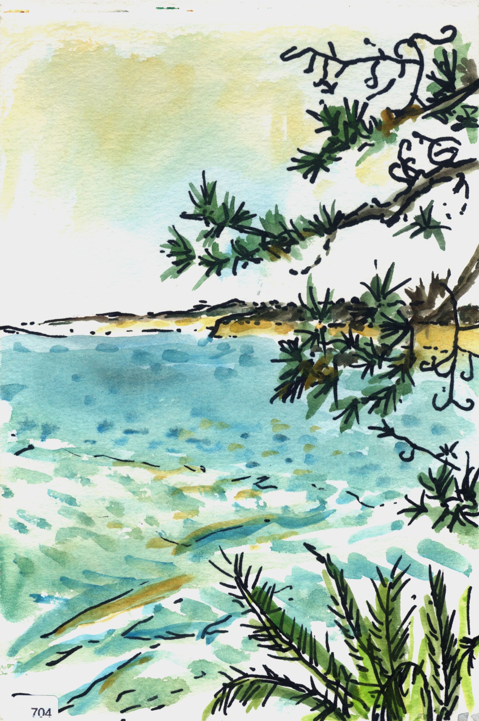 Turquoise water and distant shoreline seen through pine branches.