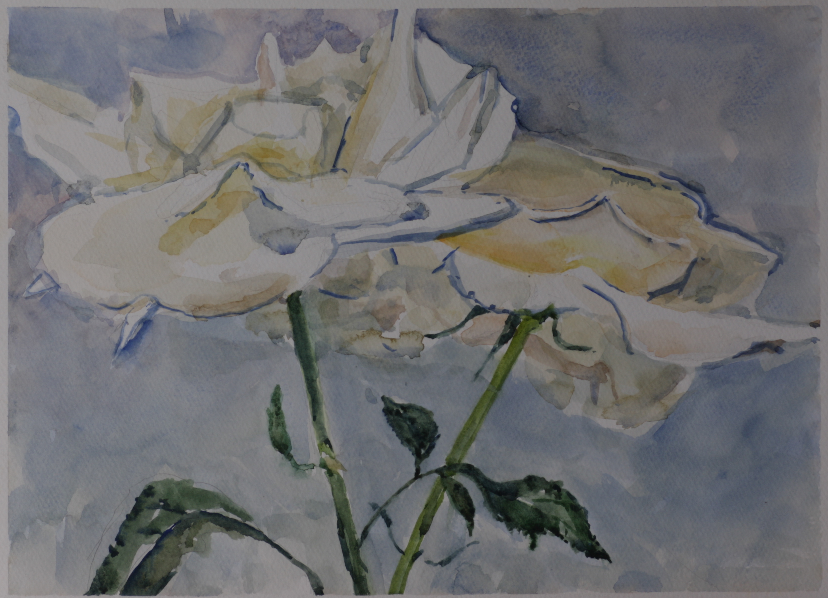 White flowers