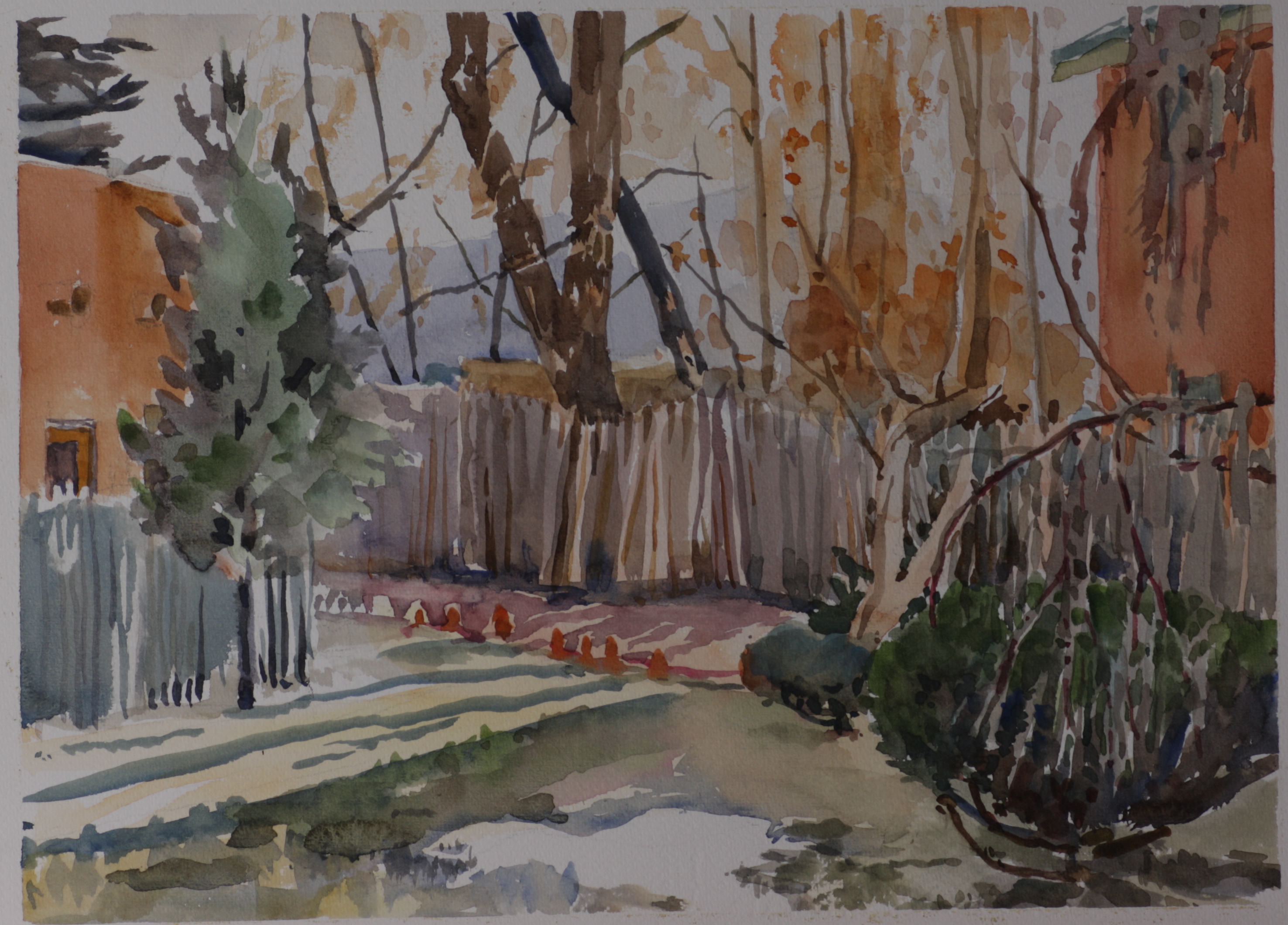 backyard with fence in the Fall?