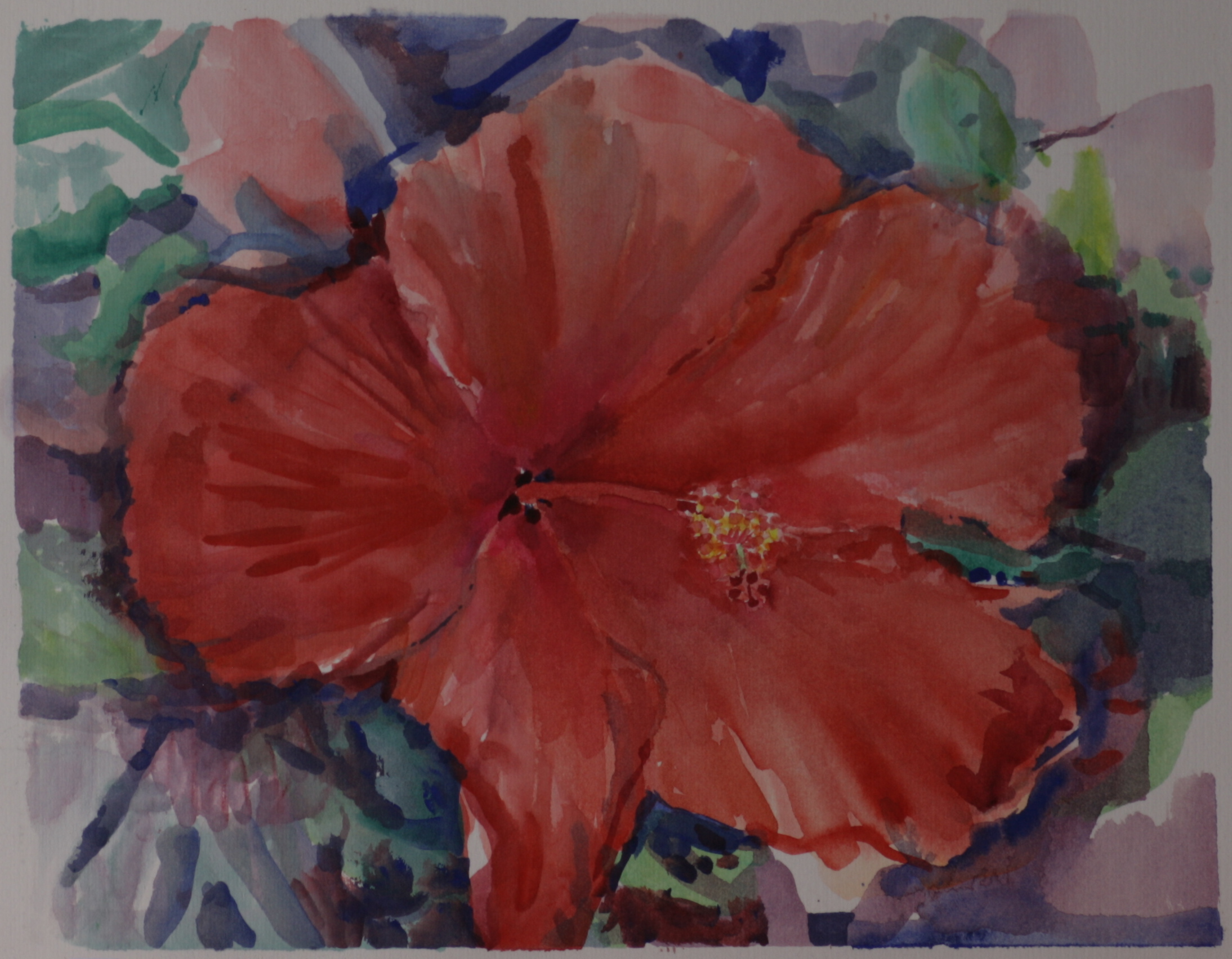 Hibiscus blossom