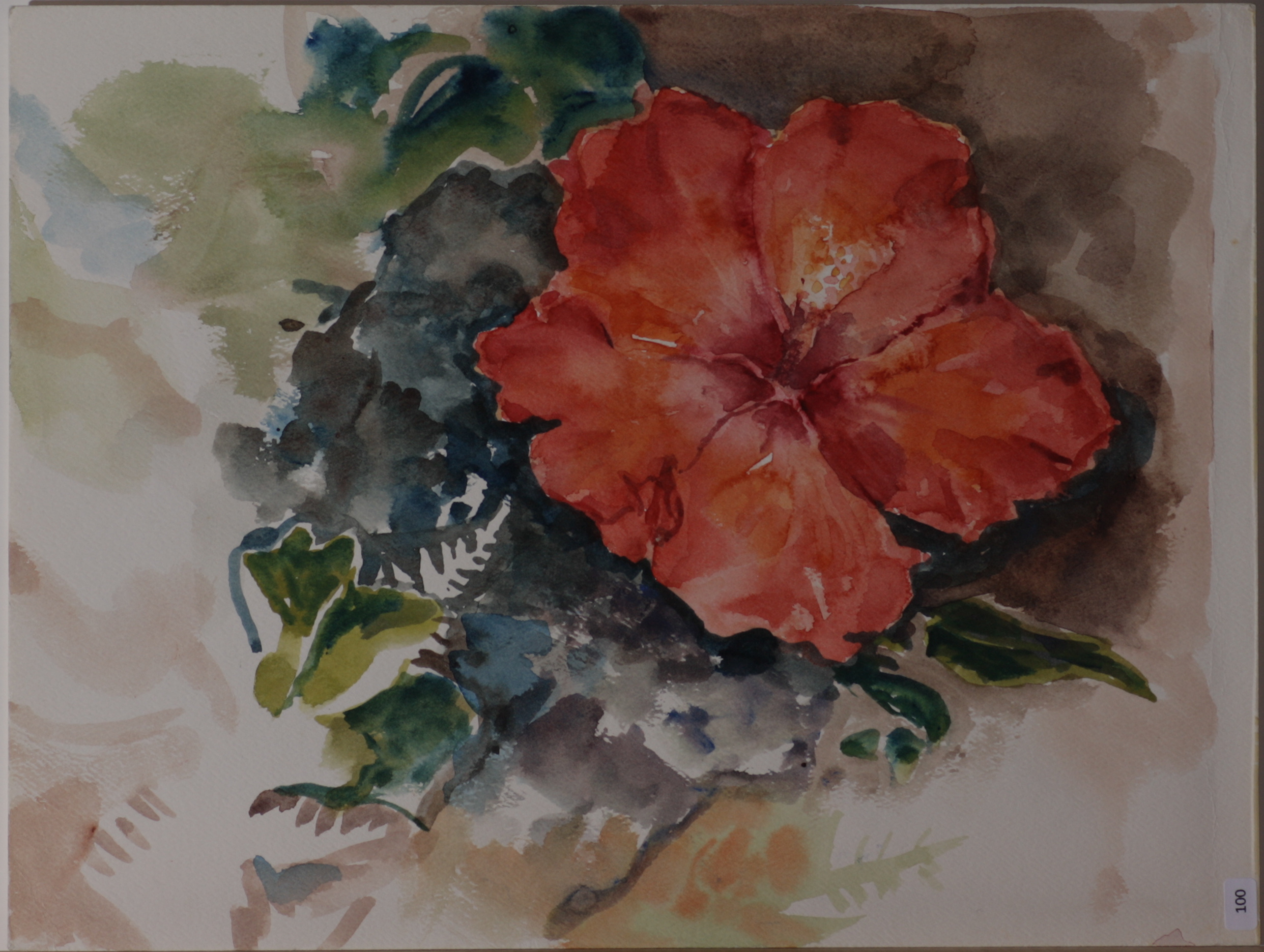 Hibiscus blossom