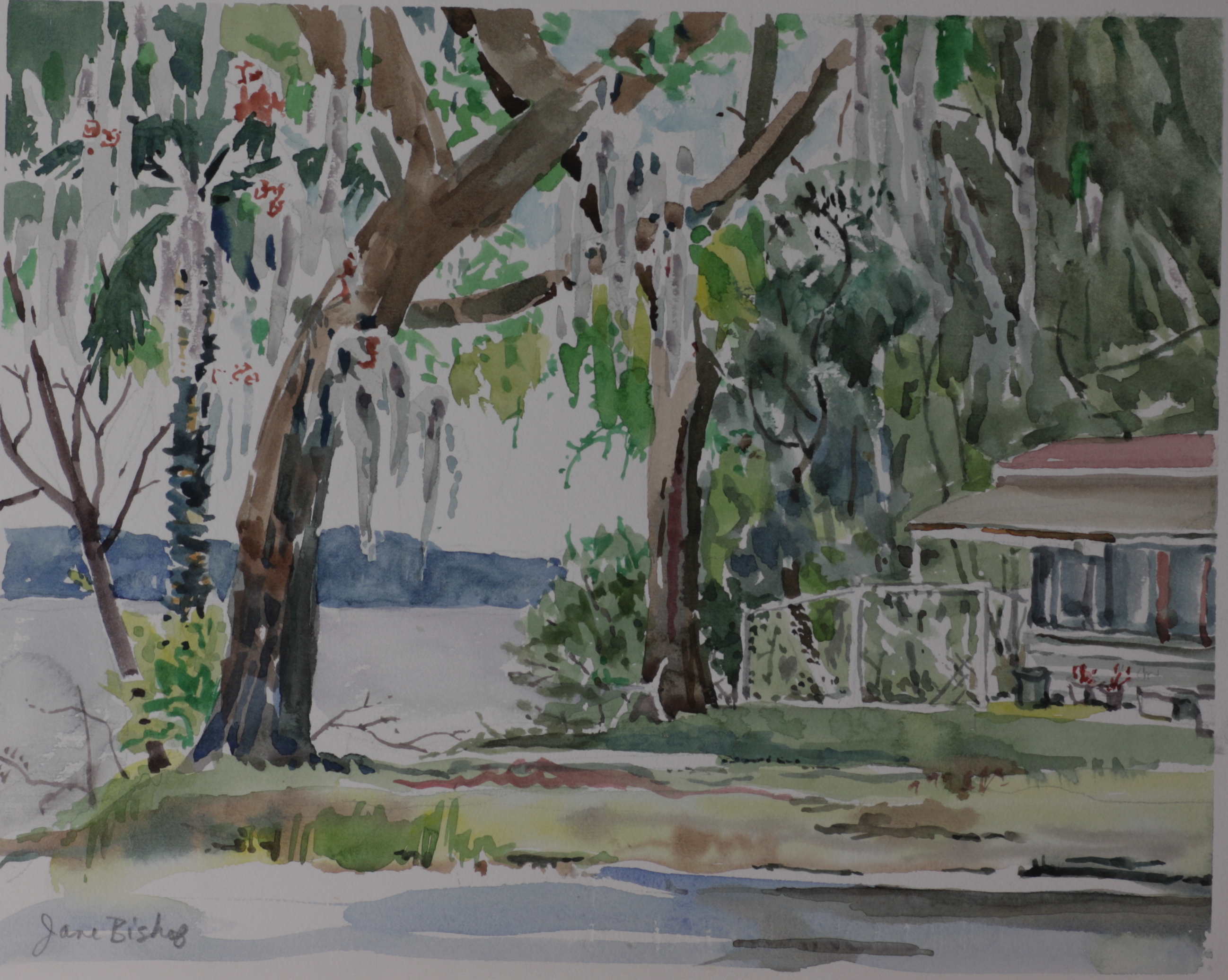 Florida, water, trees, (Uncle Gene’s nursing home?)