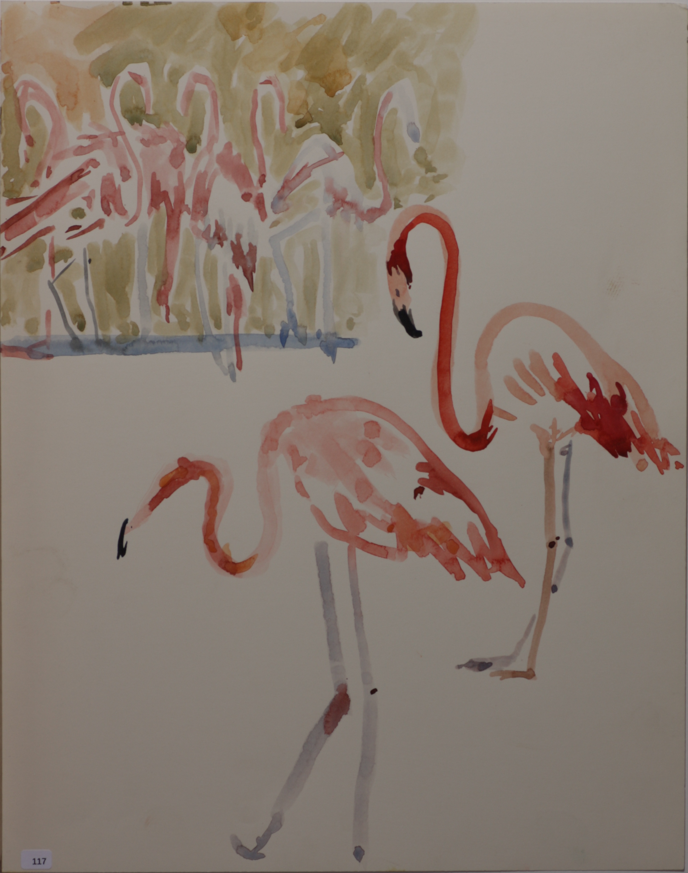 Flamingos