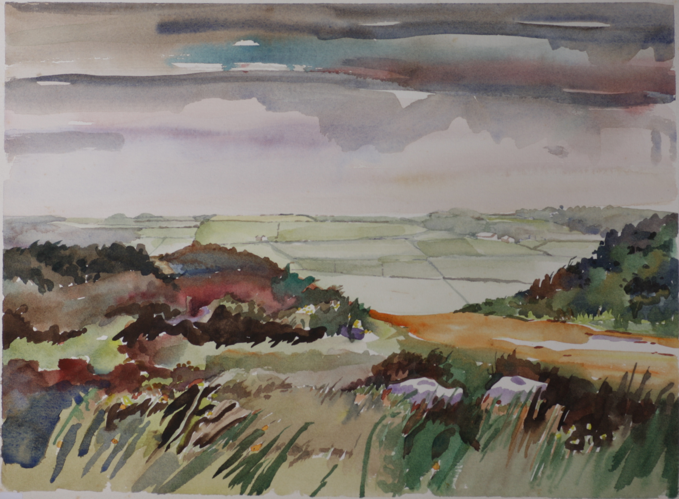 Grass, bushes, green fields in bg