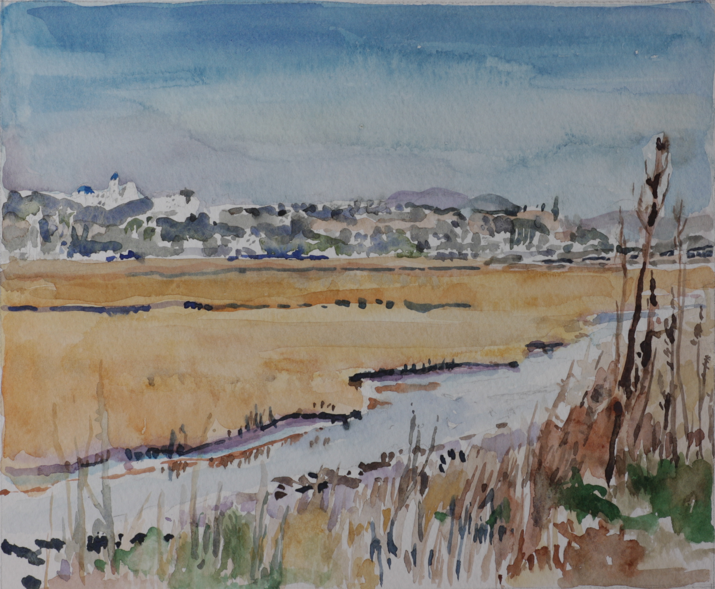 “cinnamon teal” landscape