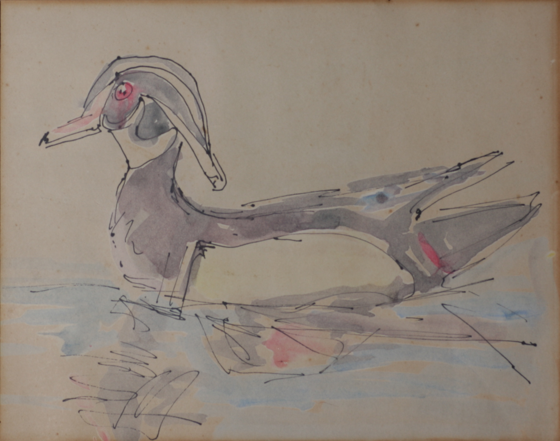 Duck