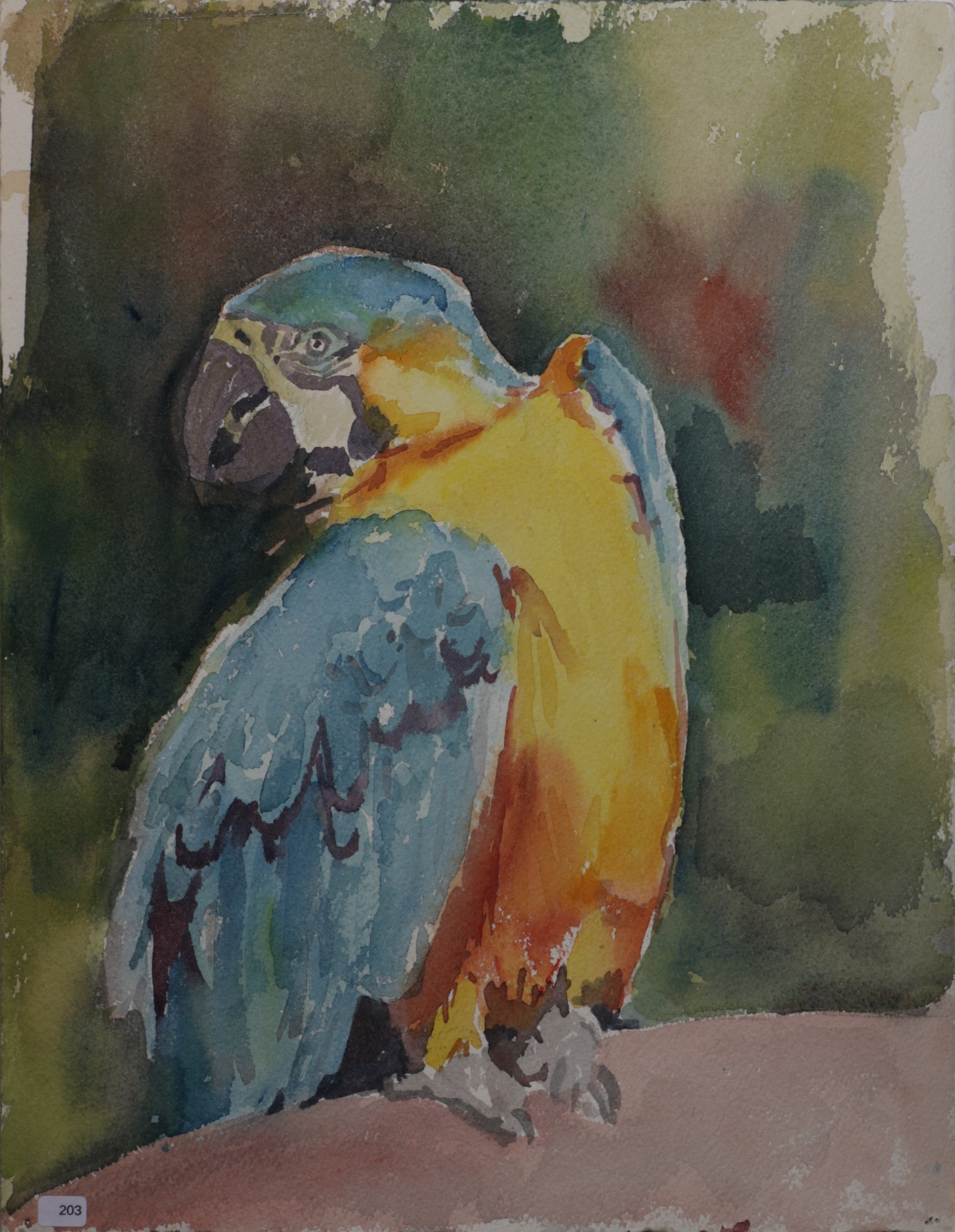 Parrot. REVERSE: Woman in blouse