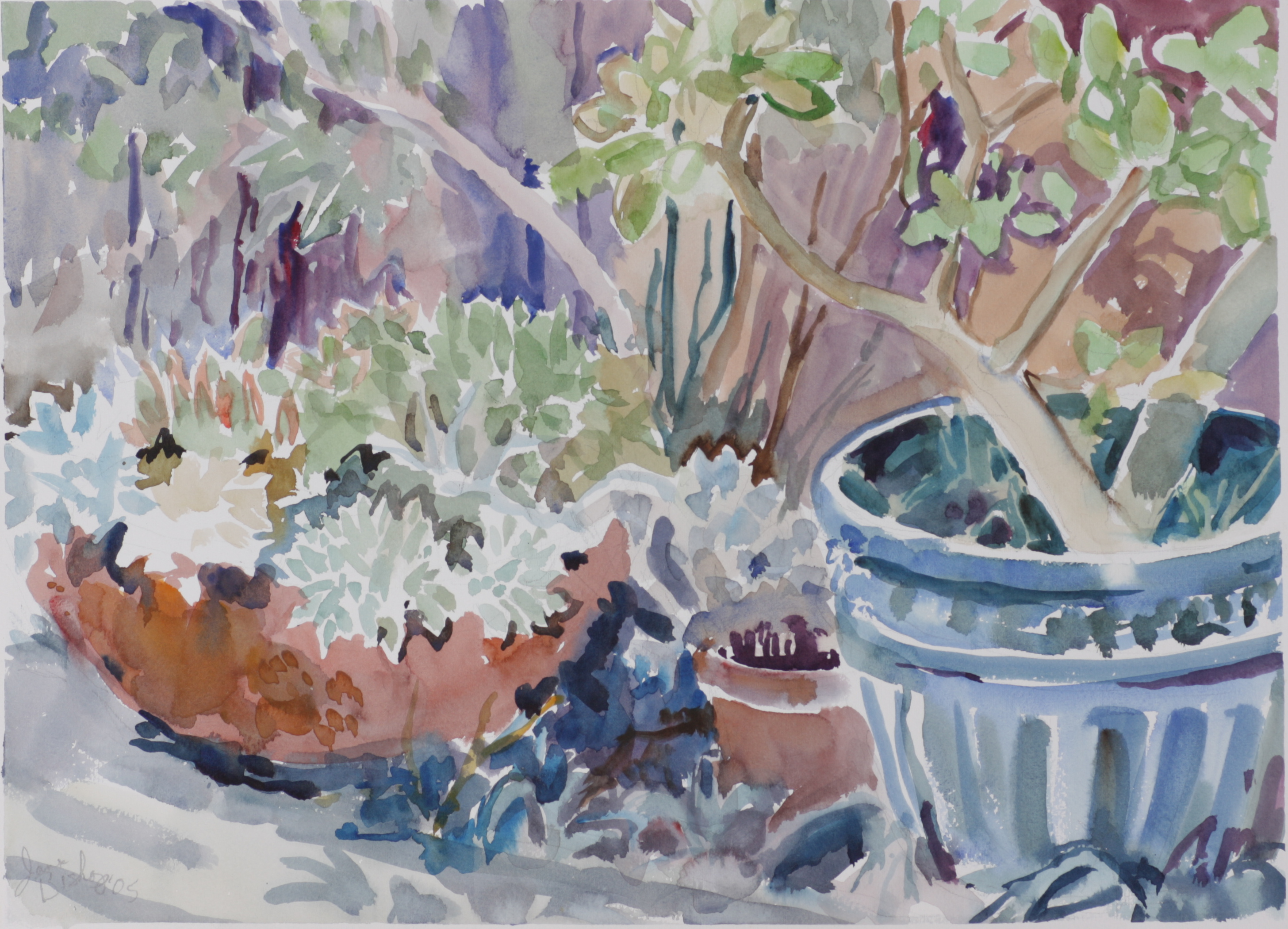 Still life: potted plants