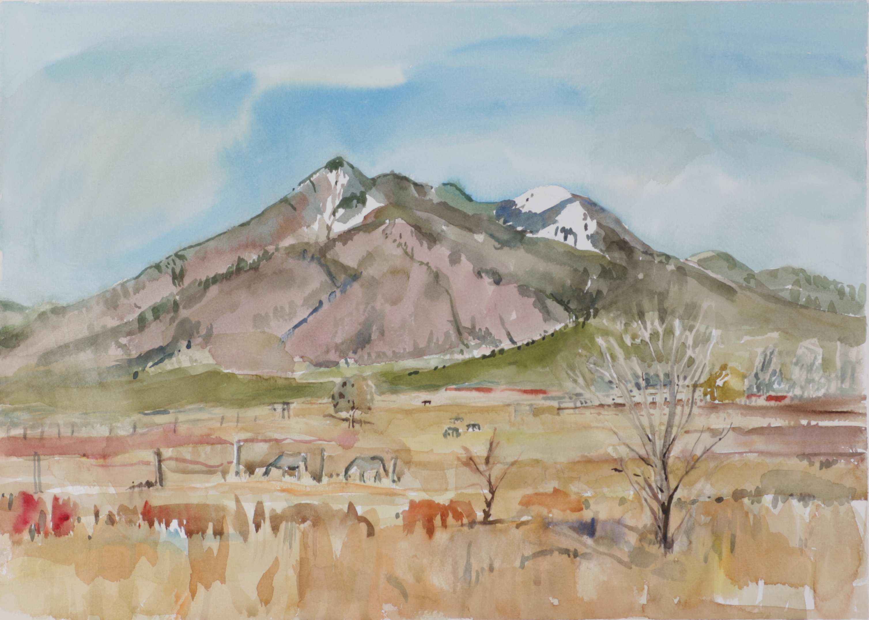NM near Taos