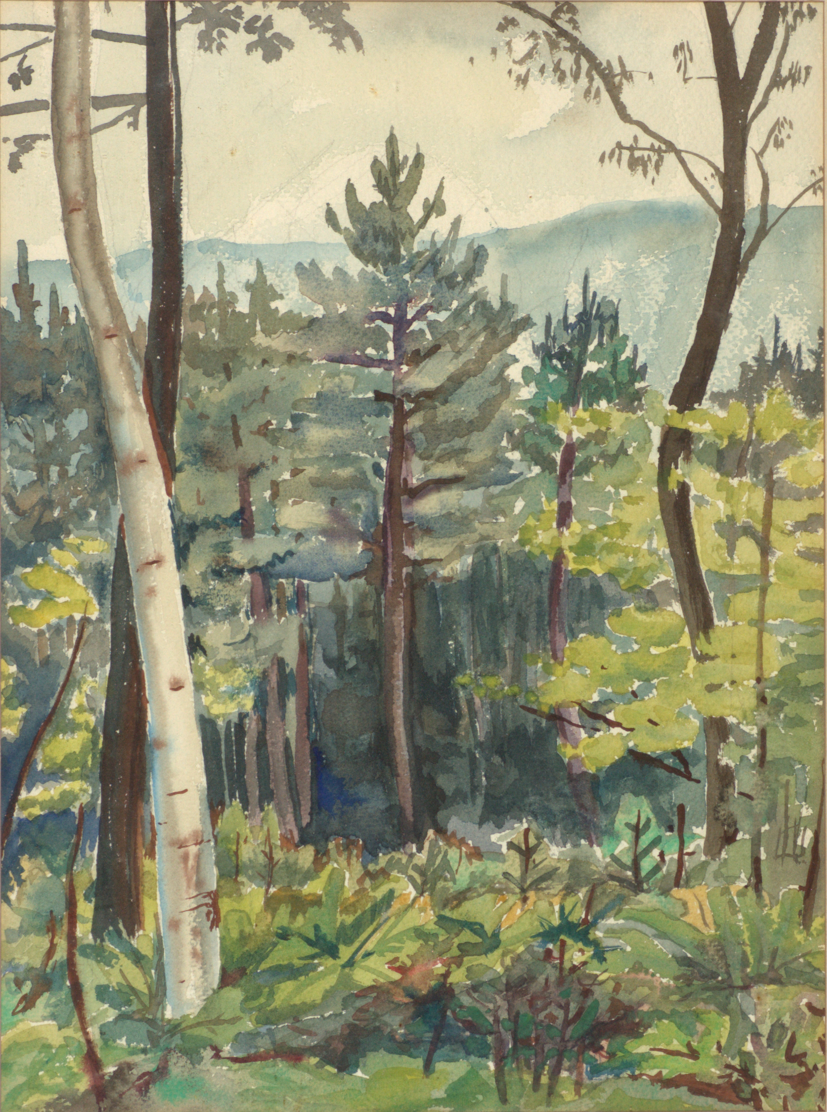 Trees