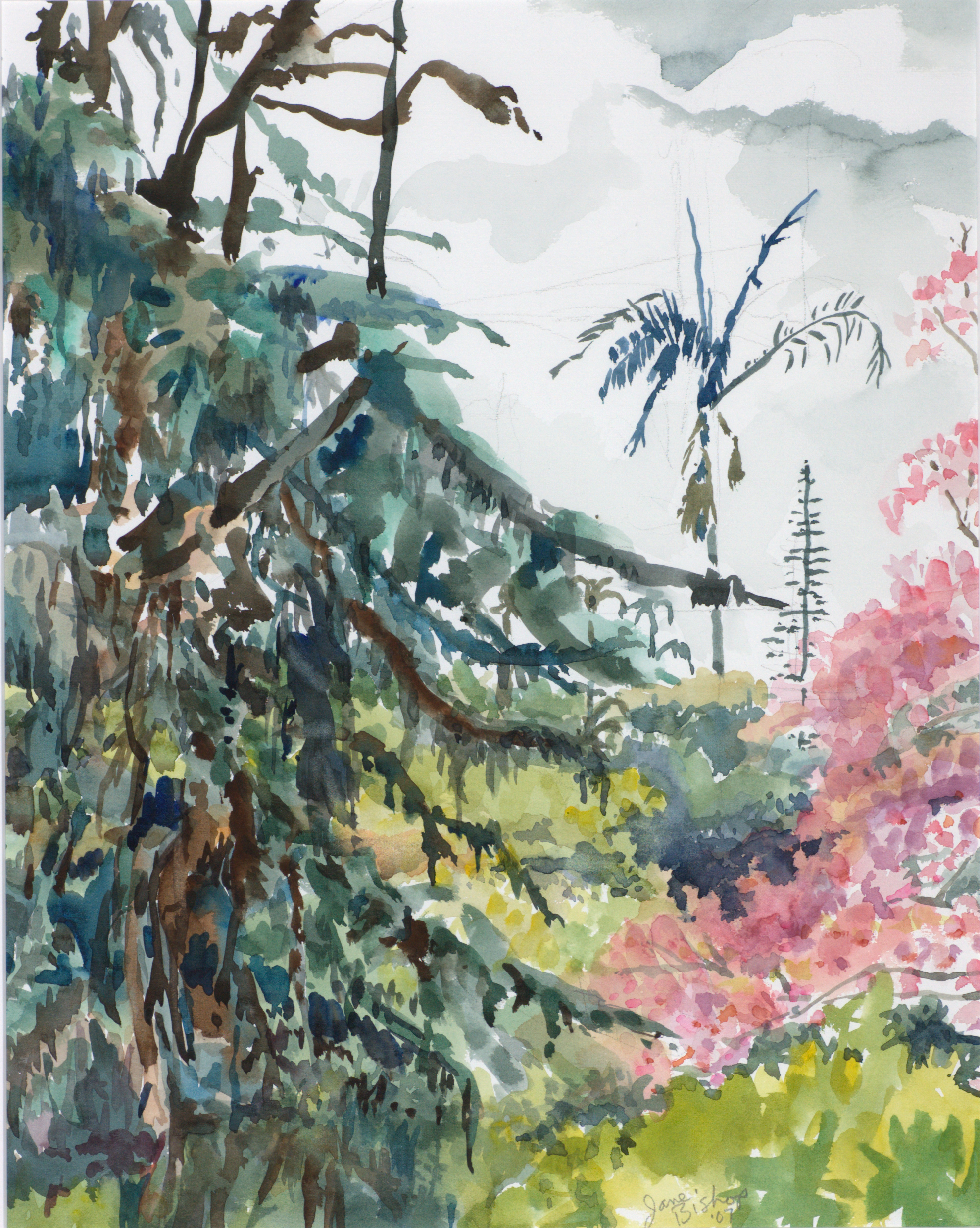 View from balcony, tabebuia and other trees