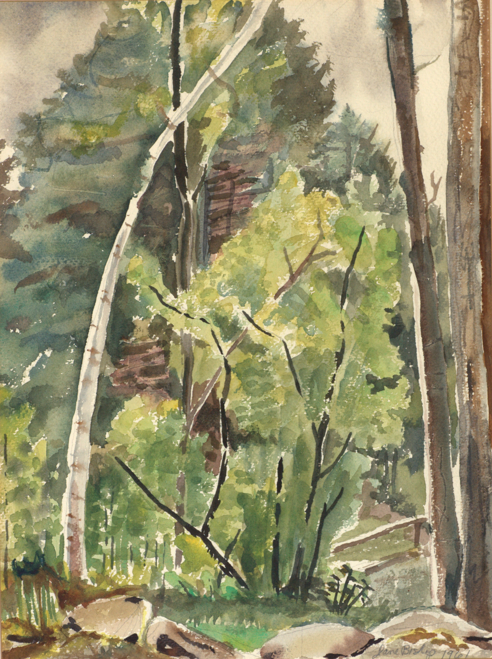Trees