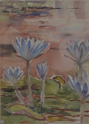 Lily Pond, Balboa Park