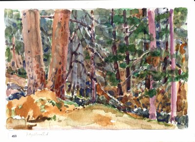 Idyllwild