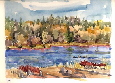 Lake with ducks and shoreline vegetation