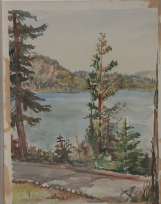 Forest and lake