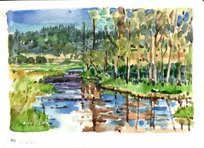 Landscape with reflective water, trees, reeds, and green fields.