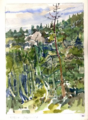 Wooded landscape