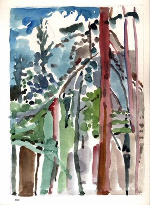 Vertical tree study
