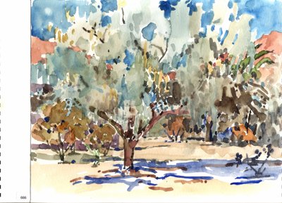 Tree and shrubs in park setting
