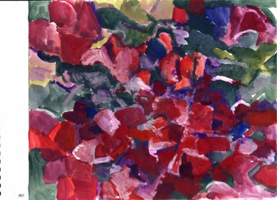 Red flower study