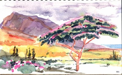 Maui, Colorful hillside landscape with a spreading tree and distant water or sky.