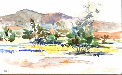 Borego, Desert or dry garden landscape with shrubs, agave-like plants, and distant hills.