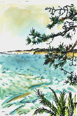 Turquoise water and distant shoreline seen through pine branches.