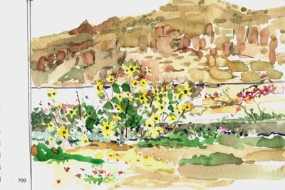 Yellow flowers and desert hills