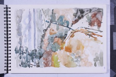 Loose watercolor study of branches and foliage