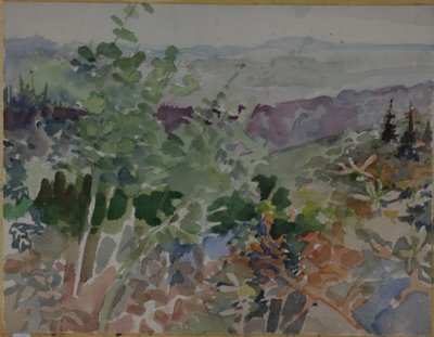 Landscape. Plants with hills in background