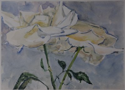 White flowers