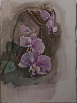Purple Orchid