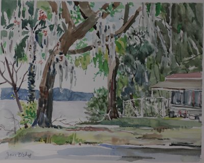 Florida, water, trees, (Uncle Gene’s nursing home?)