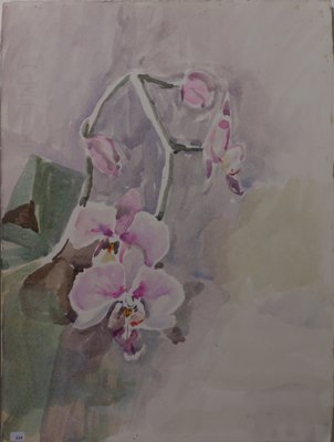 Purple Orchid