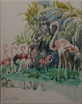 Flamingos