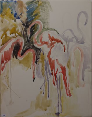 Flamingos